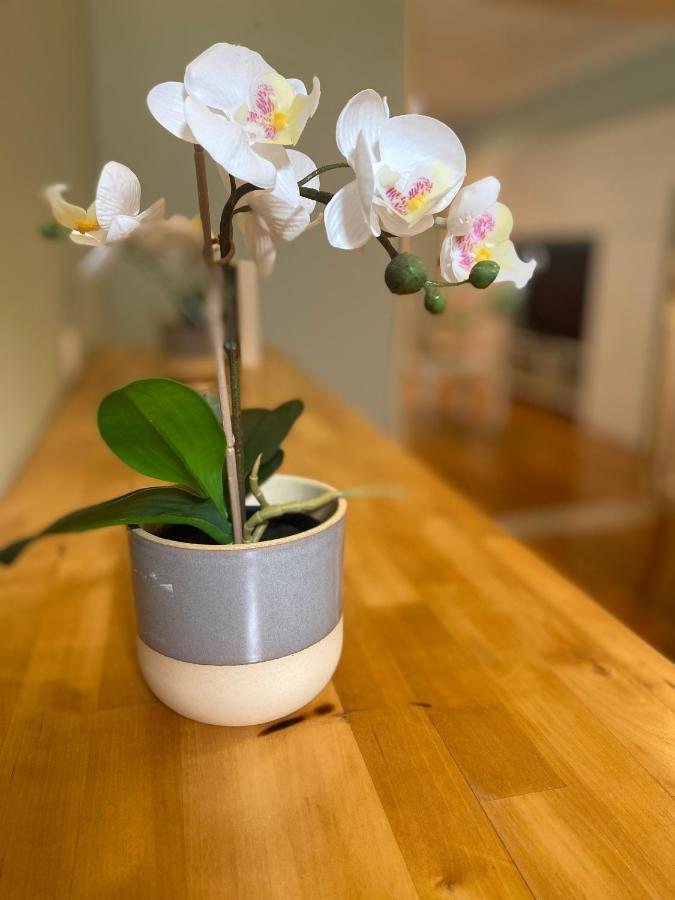 Apartament Bairro Alto 1 Lizbona Zewnętrze zdjęcie
